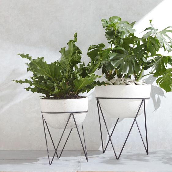 iris-indoor-outdoor-planter-on-stand-z.jpg